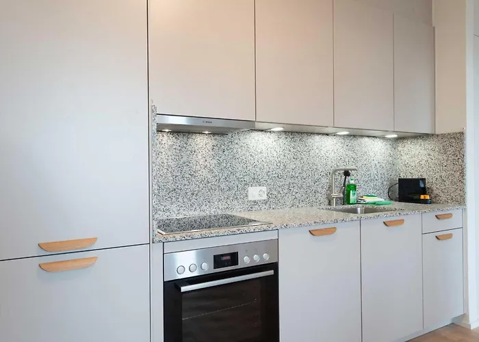 アパート Hitrental Letzigrund -