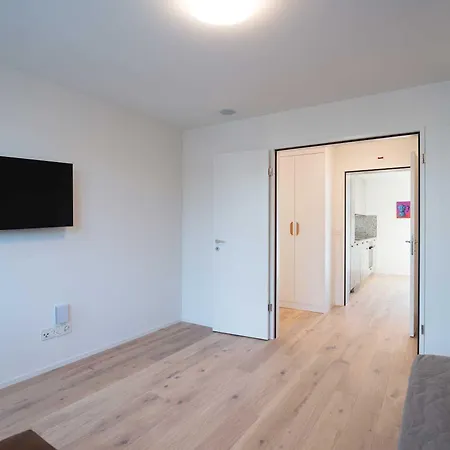 Апартаменти Hitrental Letzigrund - *