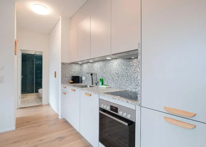 Hitrental Letzigrund -