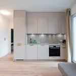 Hitrental Letzigrund - *