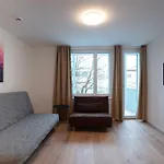 Daire Hitrental Letzigrund - *
