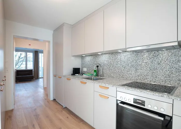 Hitrental Letzigrund - Appartement